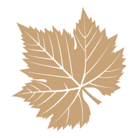 Small leaf